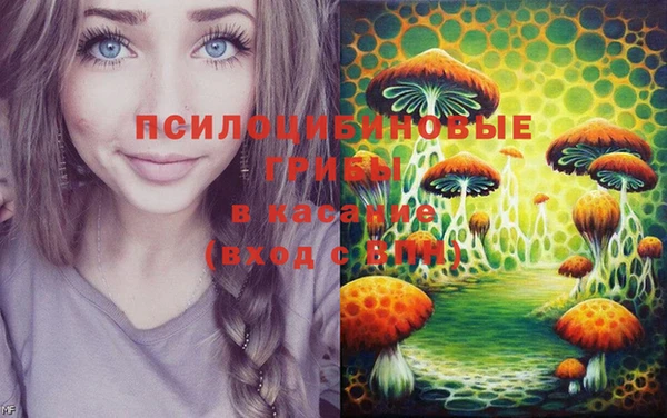 марки lsd Богданович