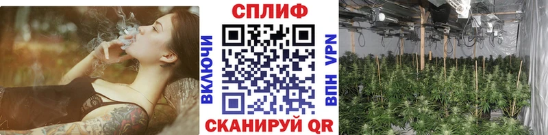 Конопля OG Kush  где найти   Чкаловск 
